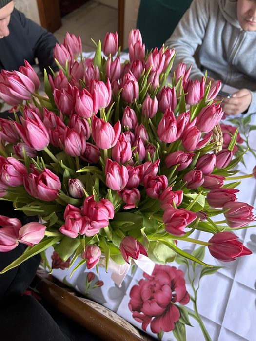 Тюльпаны оптом от 1000шт