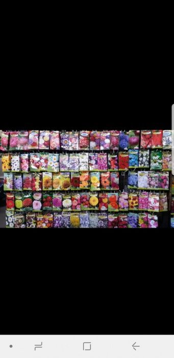 Семена всех видов