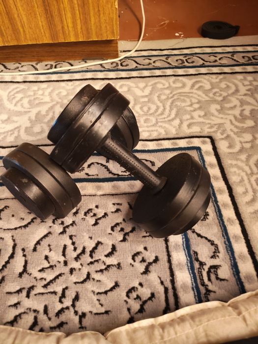 Gantellar 10 kg lik (Yig'ma / Razborniy) – Sifatli va hamyonbop!