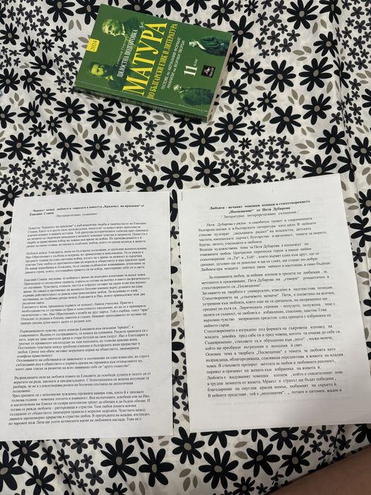 ДЗИ Бел-подготовка