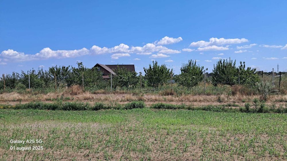 Vand loturi de teren  Extravilan   Sat Costi