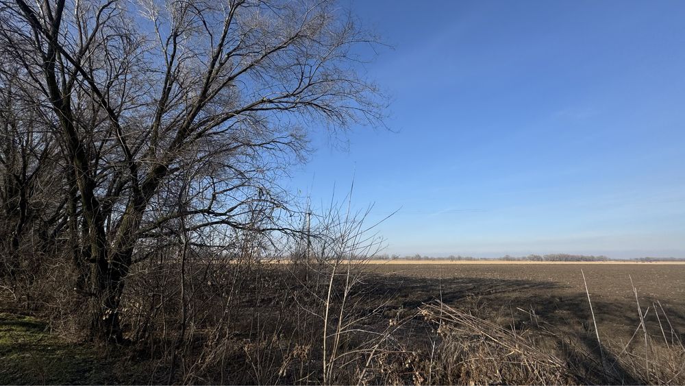 Продам крестьянское хозяйство