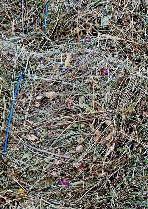 Baloti fan de gradina