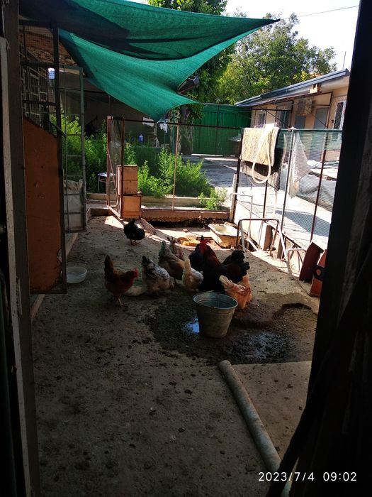 Продается дом с участком