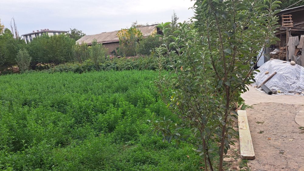 Yer sotilad(quruq yer) 4 sotix