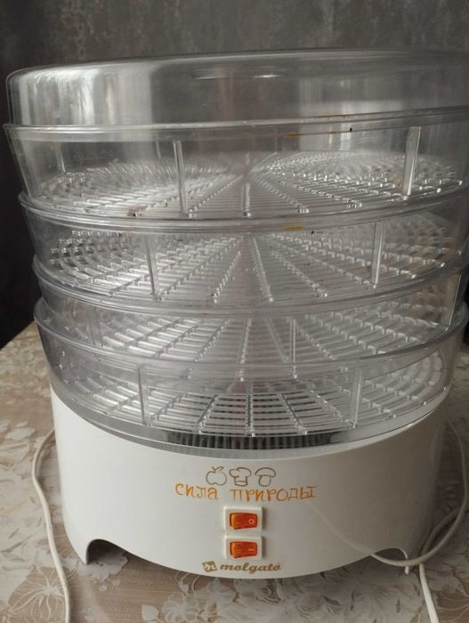 Электросушилка для пищевых продуктов.