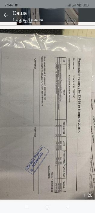 Фикус 2.5 метра в итальянском кашпо