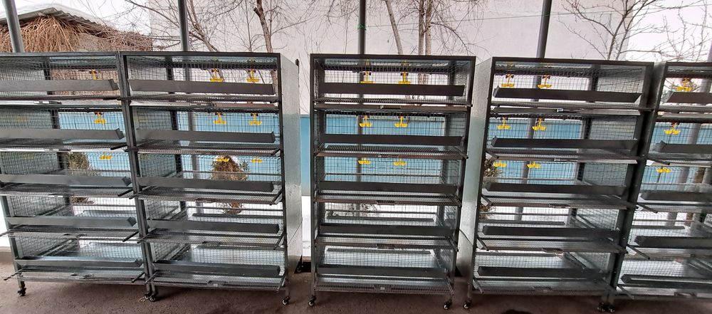 Клетки для перепелов