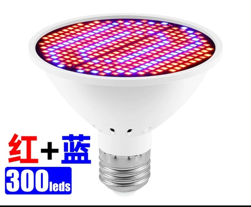 Фито лампы светильники