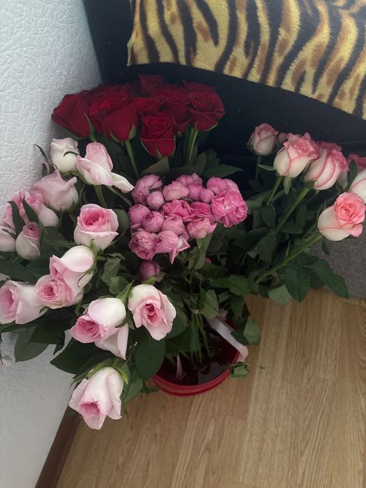Продам цветы недорого