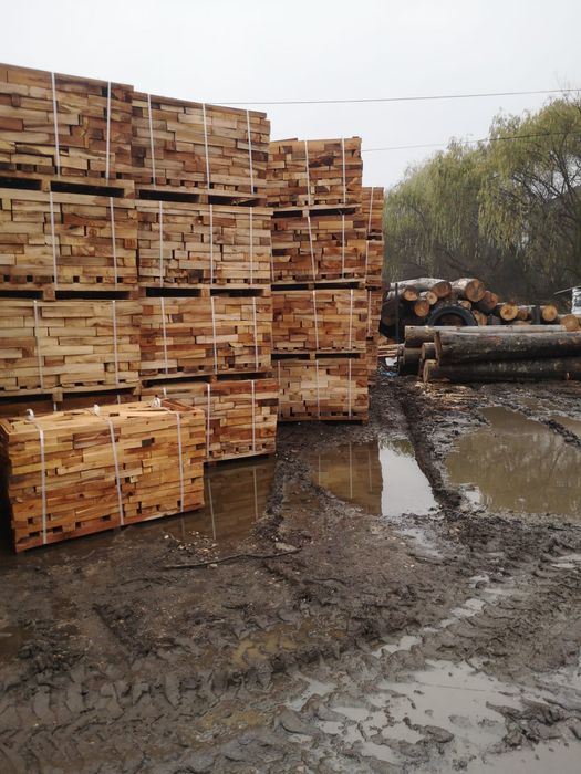 Transportator de Lemne