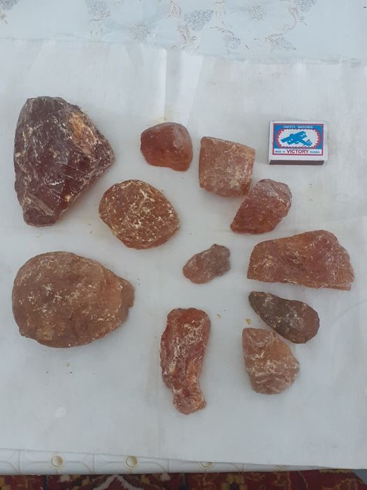 Канифоль,сосновая смола