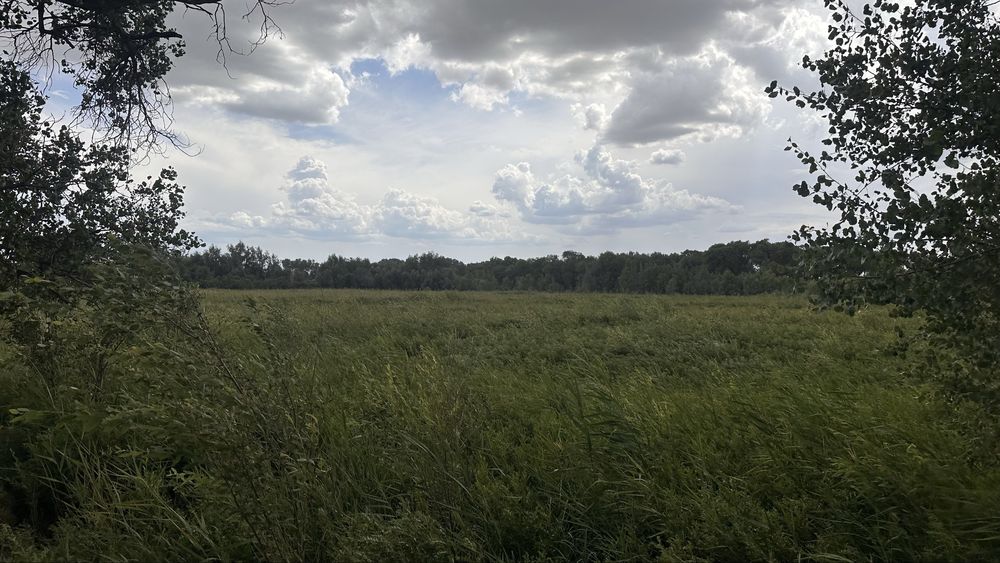 Земля сенокос пашня сено кх