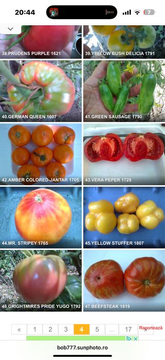 Seminte rosii romanesti si straine ! Am peste 150 soiuri pure !