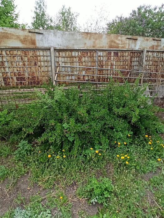 Продам дачу 2800 остановка Аврора