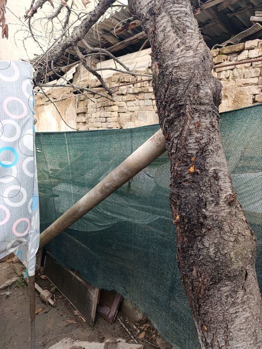 Черешневое дерево цельное