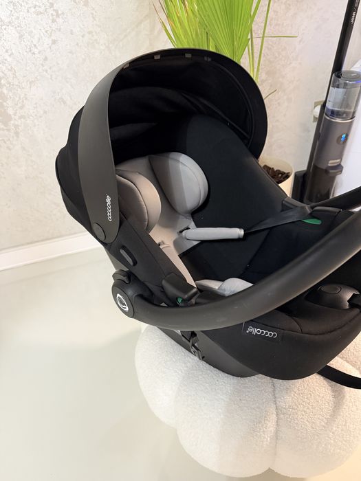 scoica coelle nefolosita