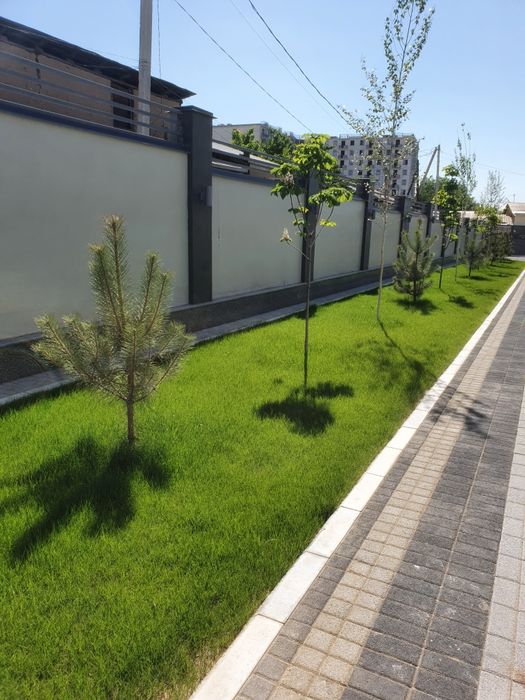 Gazon ekish hizmati ishonchli va halol