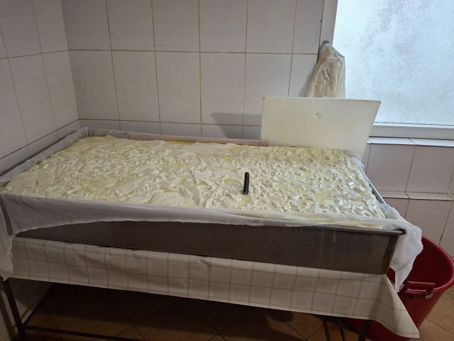 Telemea de oaie ,