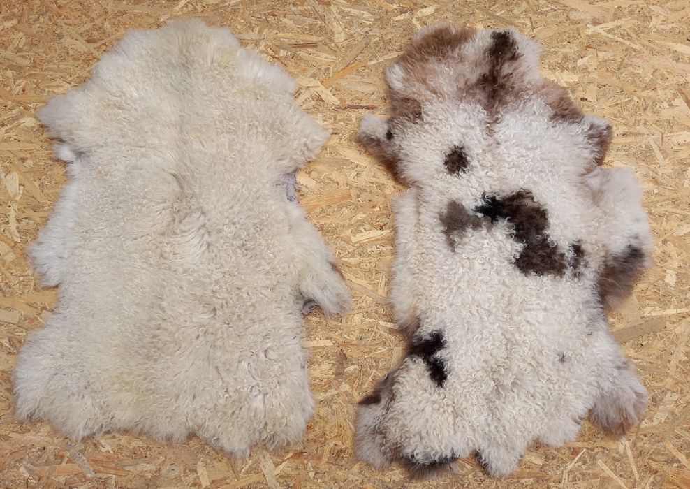 Piei/Blănuri argasite de miel