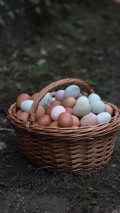 Sătul de oua fara gust? astea chiar sunt diferite