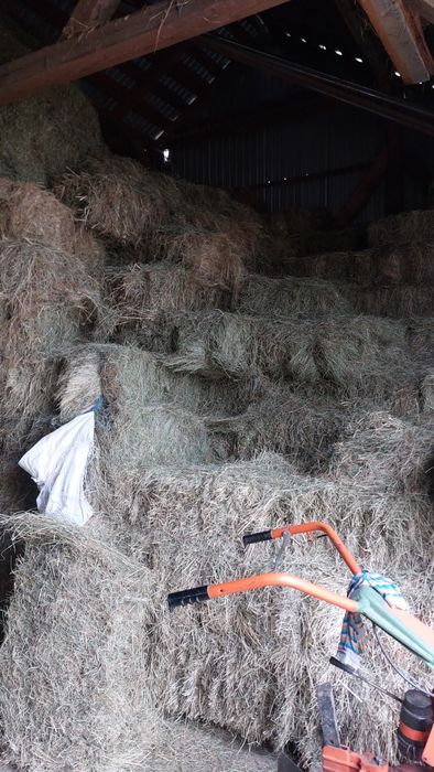 Vând fân și otavă