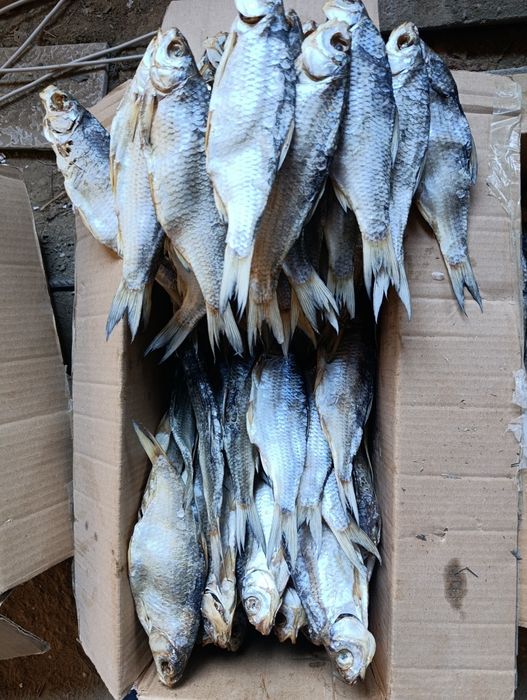 Рыба сушенная вяленная