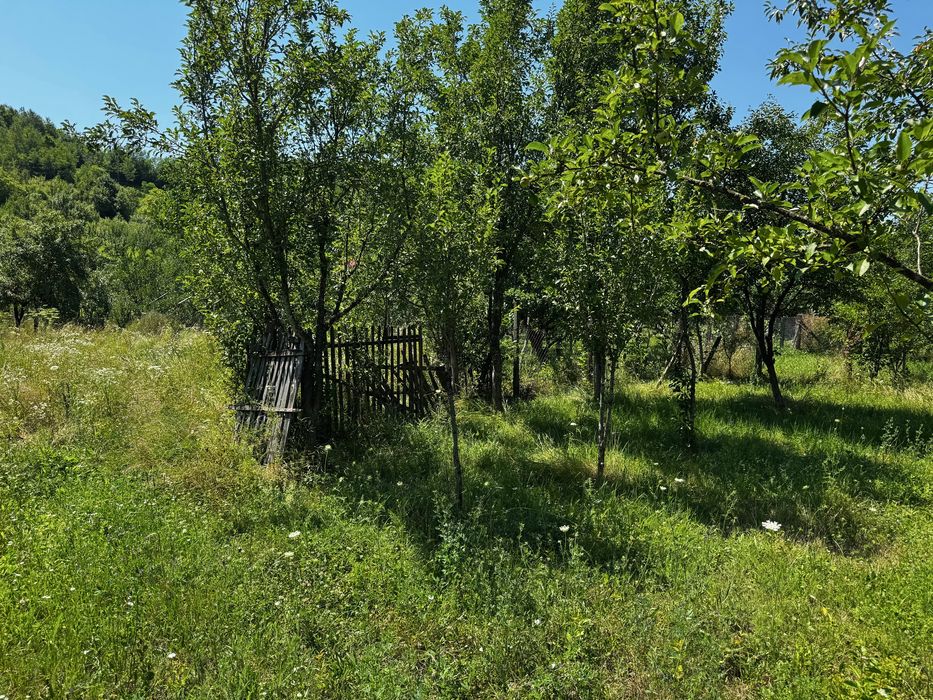 Teren intravilan de vanzare - Salatrucel, Valcea