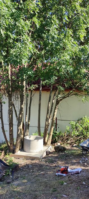 Servicii de curățare și reamenajarea fântâni!