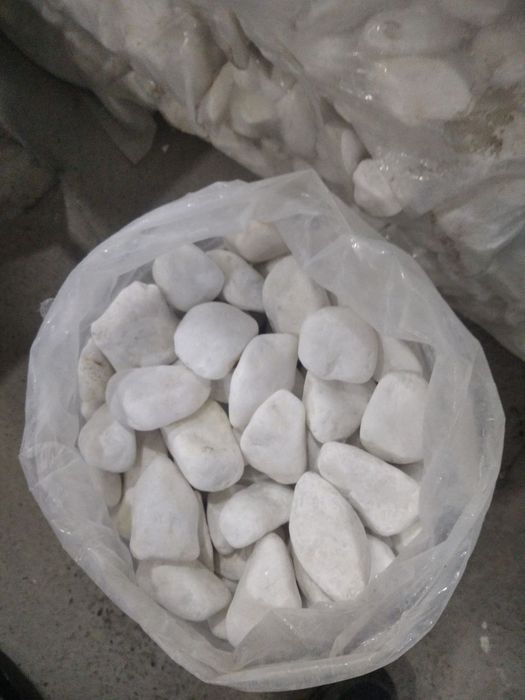 белый галка камен