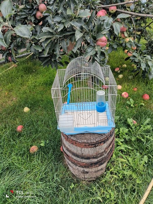 Продавам клетки птички.