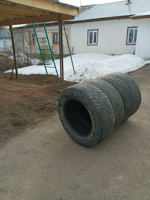 Продам шины, все сезонные