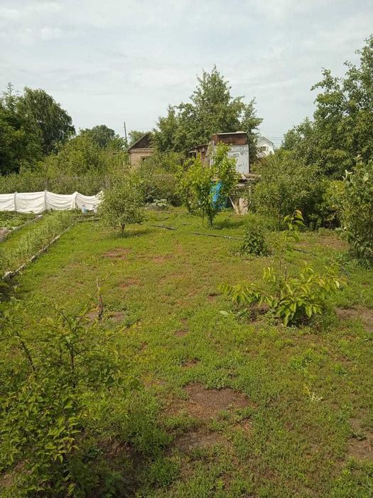 Продам дачу в СО "Геолог"