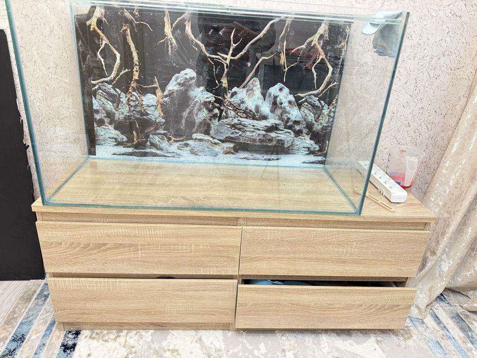 Малавийские цихлиды