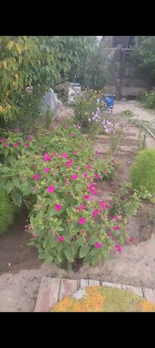 Дача ПК "Здравница"