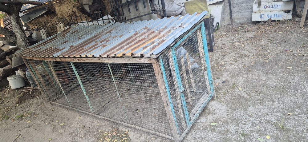 Katak sotiladi xolati alo arzong