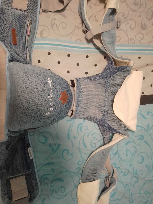 Кенгуру Chipolino