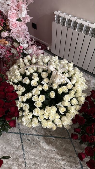 Свежий гүлдер.REVEL!Ақтау