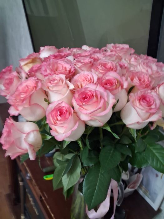 Розы розовые,51шт
