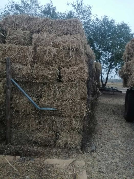 Продам сено разнотравие