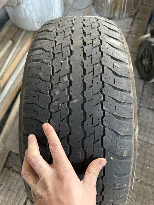 Продам шины DUNLOP