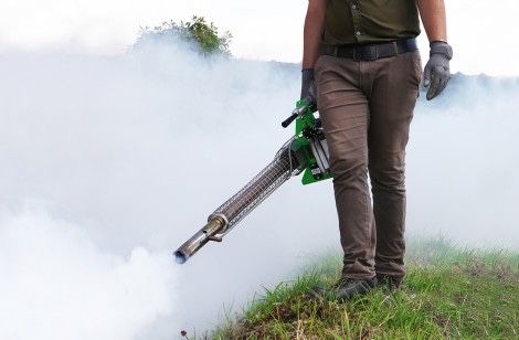 Deratizare Dezinfectie Dezinsectie Plosnite de pat