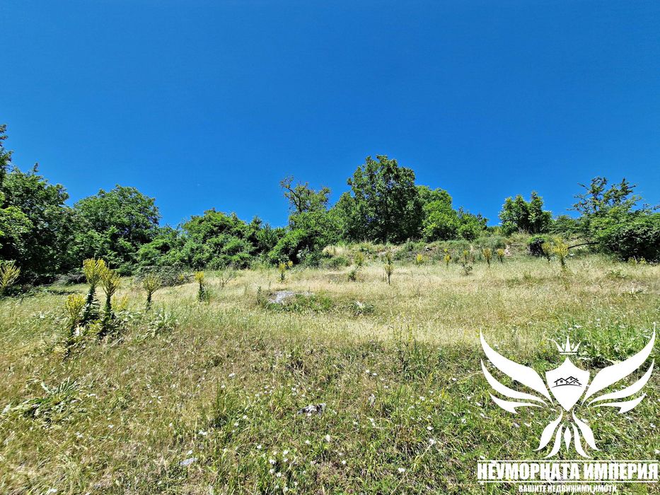 Продавам парцел УПИ 900кв.м. в село Орехово обл.Смолян