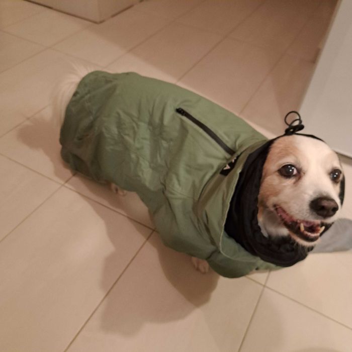 Paikka - висок клас яке за куче 55 см.