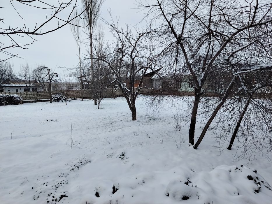 Ховли уй охангарон ялпоктепа