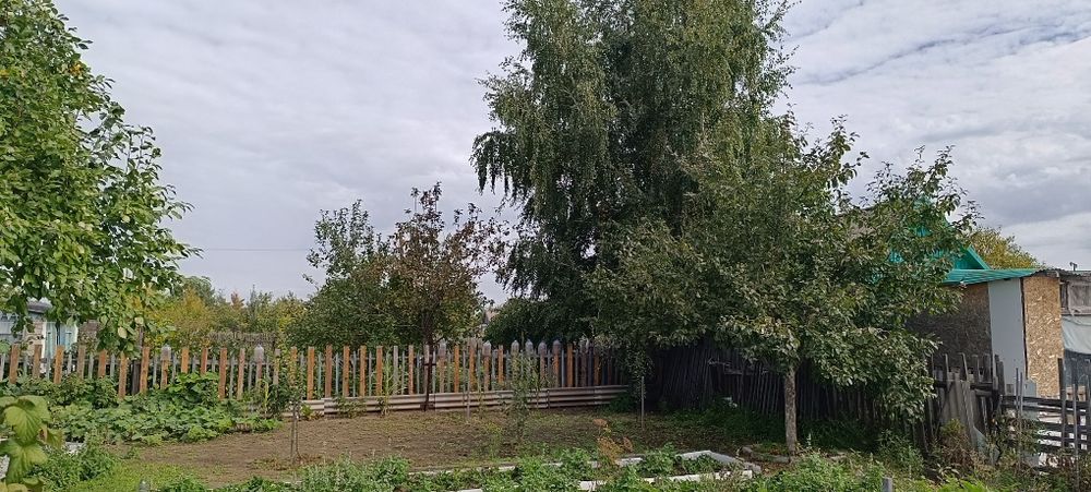 Продам дачный участок с домиком