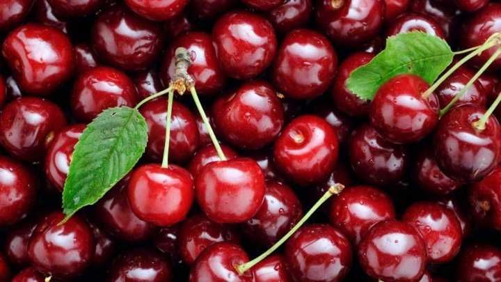 Вишня крупная содовая
