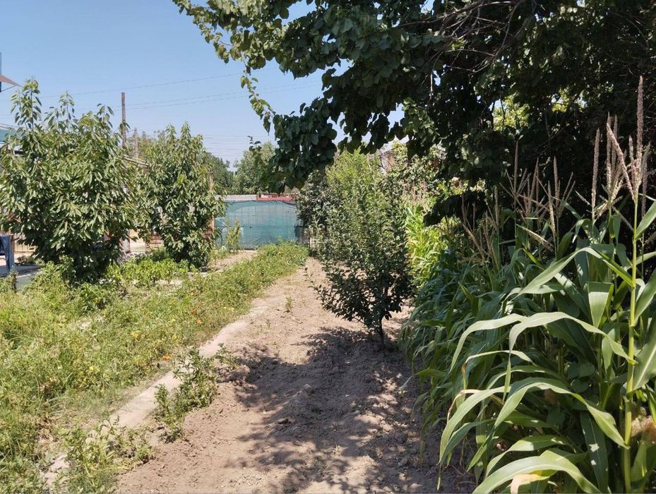 Продается Дача, Паркент -Нилюфар