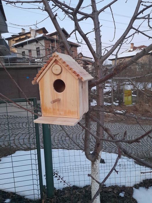 Дървени къщички, пчелно масло и пръчки за захарен памук.