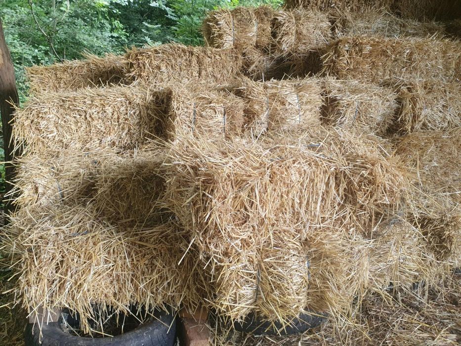 Vând baloți de fân și paie